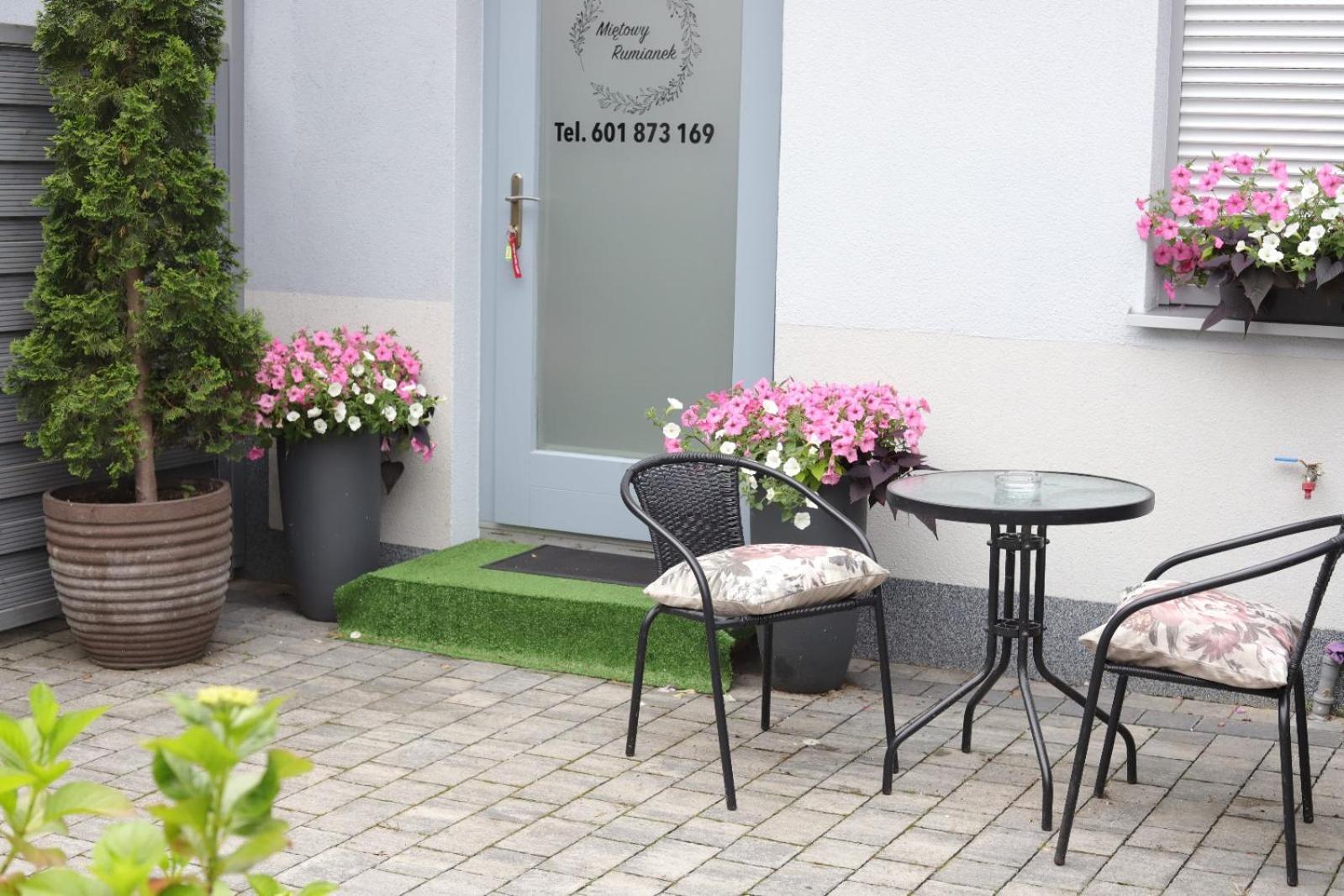 2 Apartament Mietowy Rumianek Lwowek Exterior photo